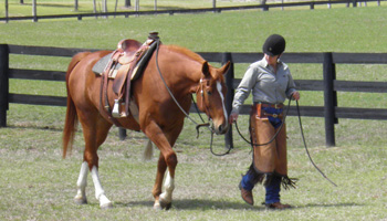 Reflections Farm, Vass, NC, Kriestin Kleinschmidt, Owner